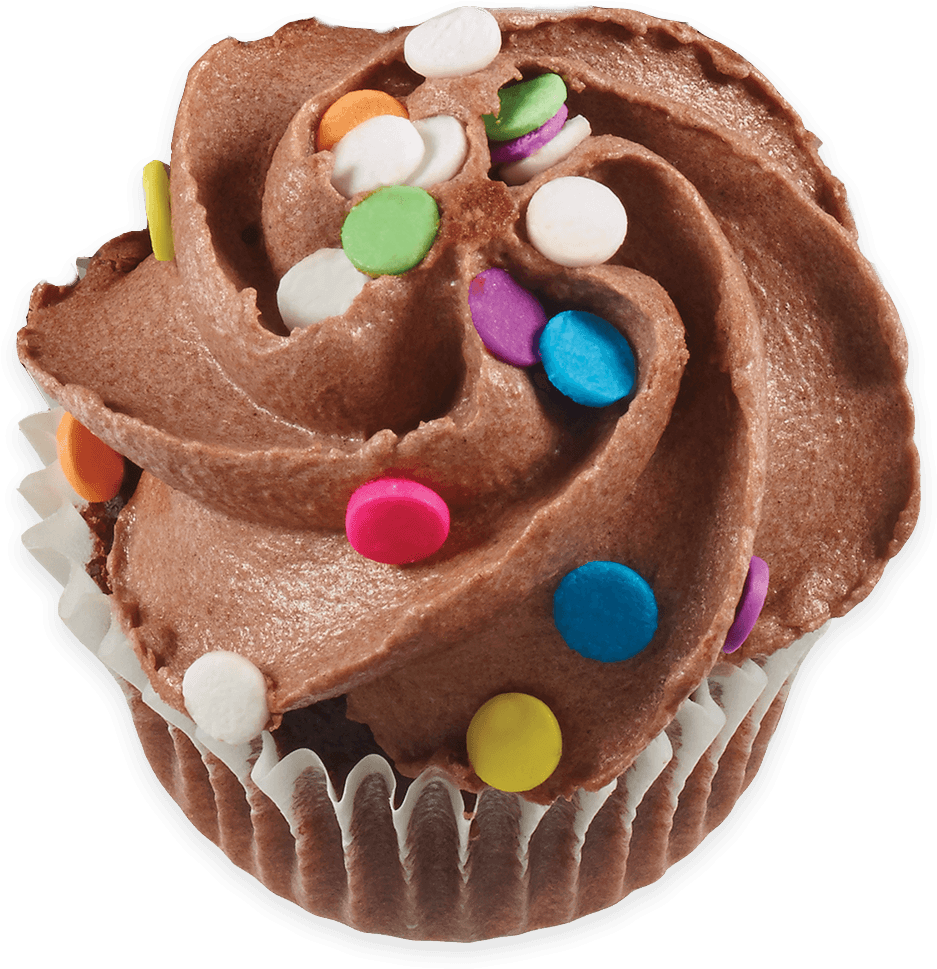 Chocolate Cupcakes - Cupcake (1024x1024), Png Download