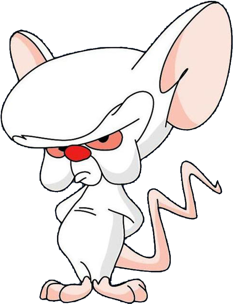 The-brain - Pinky And The Brain Party (1000x1000), Png Download