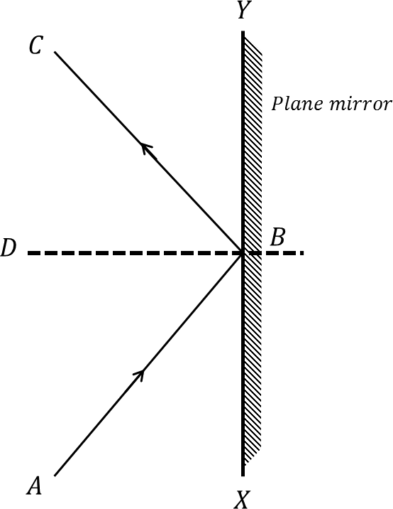 Ray Diagram Of Reflection - Diagram (554x716), Png Download