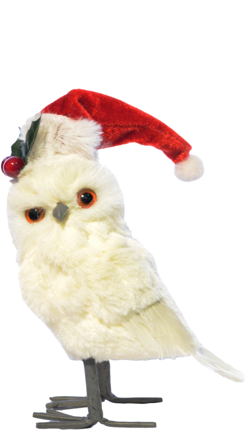 Búho De Pie Blanco Gorro De Navidad - Snowy Owl (576x1024), Png Download