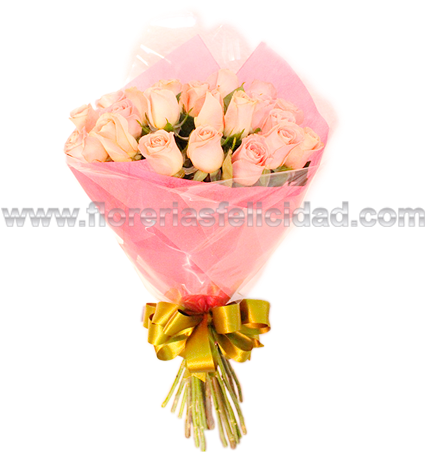 Ramo De 24 Rosas Rojas A Domicilio Cdmx - Garden Roses (700x467), Png Download