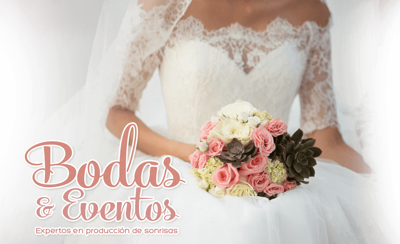 Image Image - Bouquet (817x499), Png Download