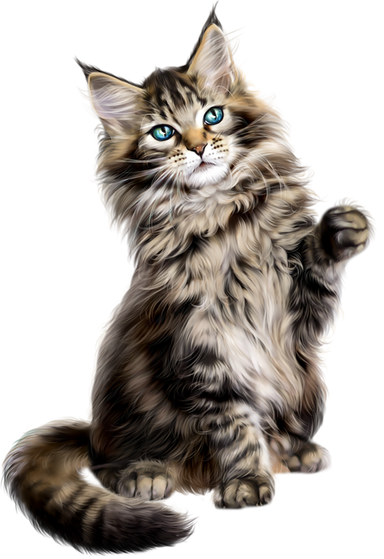 Persian Cat Clipart Gato - Changement D Heure Hiver (550x800), Png Download