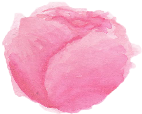 Watercolor English Roses - Watercolor Paint (789x630), Png Download