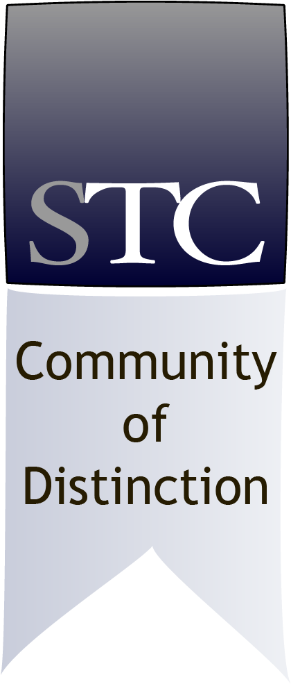 Community Ribbon Distinction Gray - Society For Technical Communication (428x994), Png Download