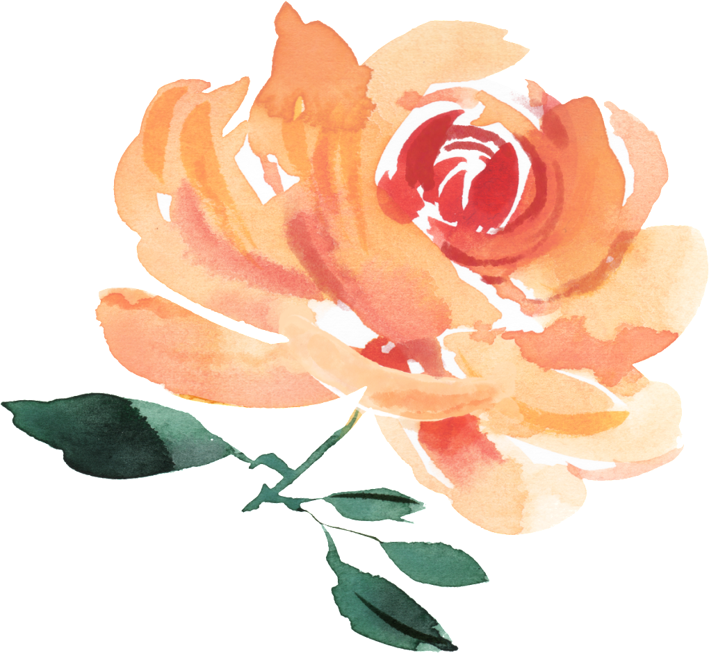 Watercolor Flower - Hybrid Tea Rose (1024x957), Png Download