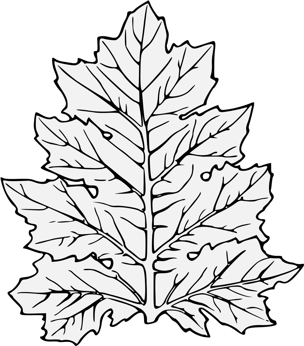 Acanthus Leaf - Leaf Clip Art (1068x1223), Png Download
