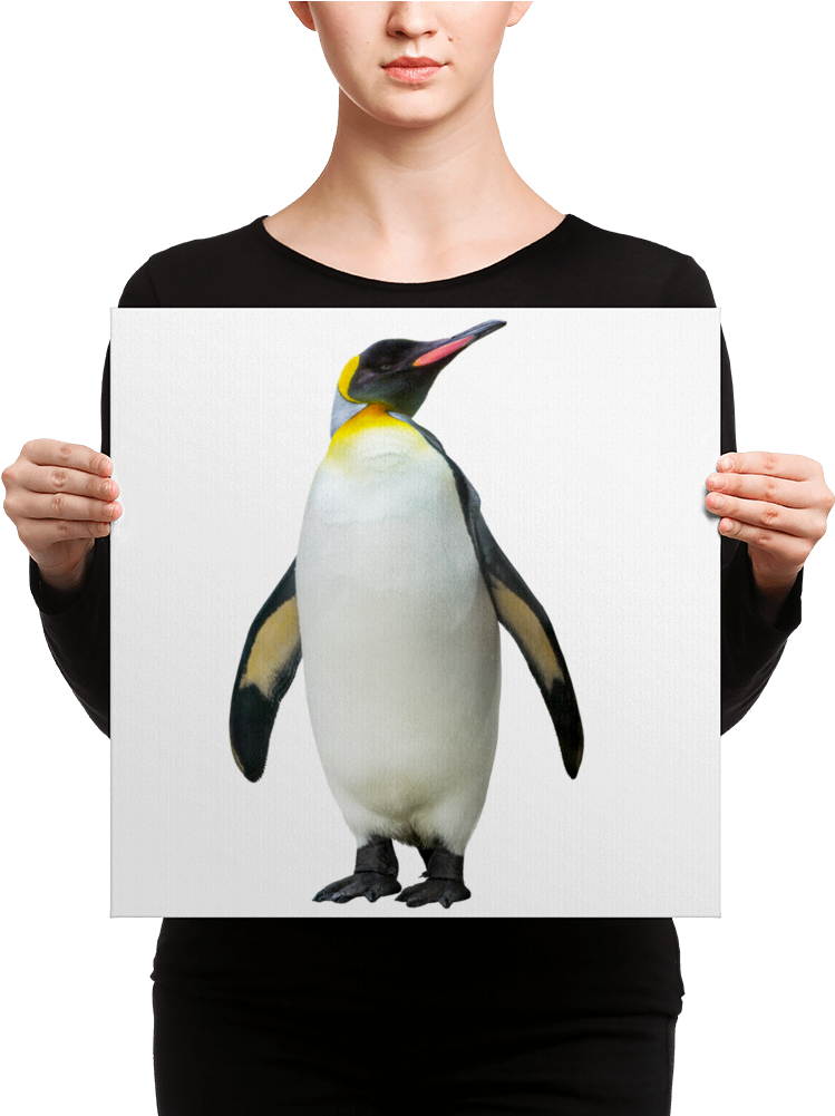 Emperor-penguin Canvas - Canvas Print (1000x1000), Png Download
