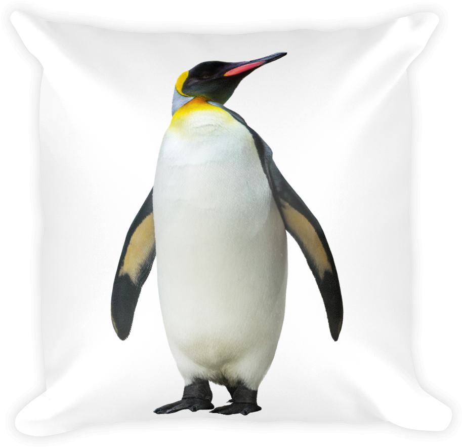 Emperor-penguin Print Square Pillow - King Penguin (1000x1000), Png Download