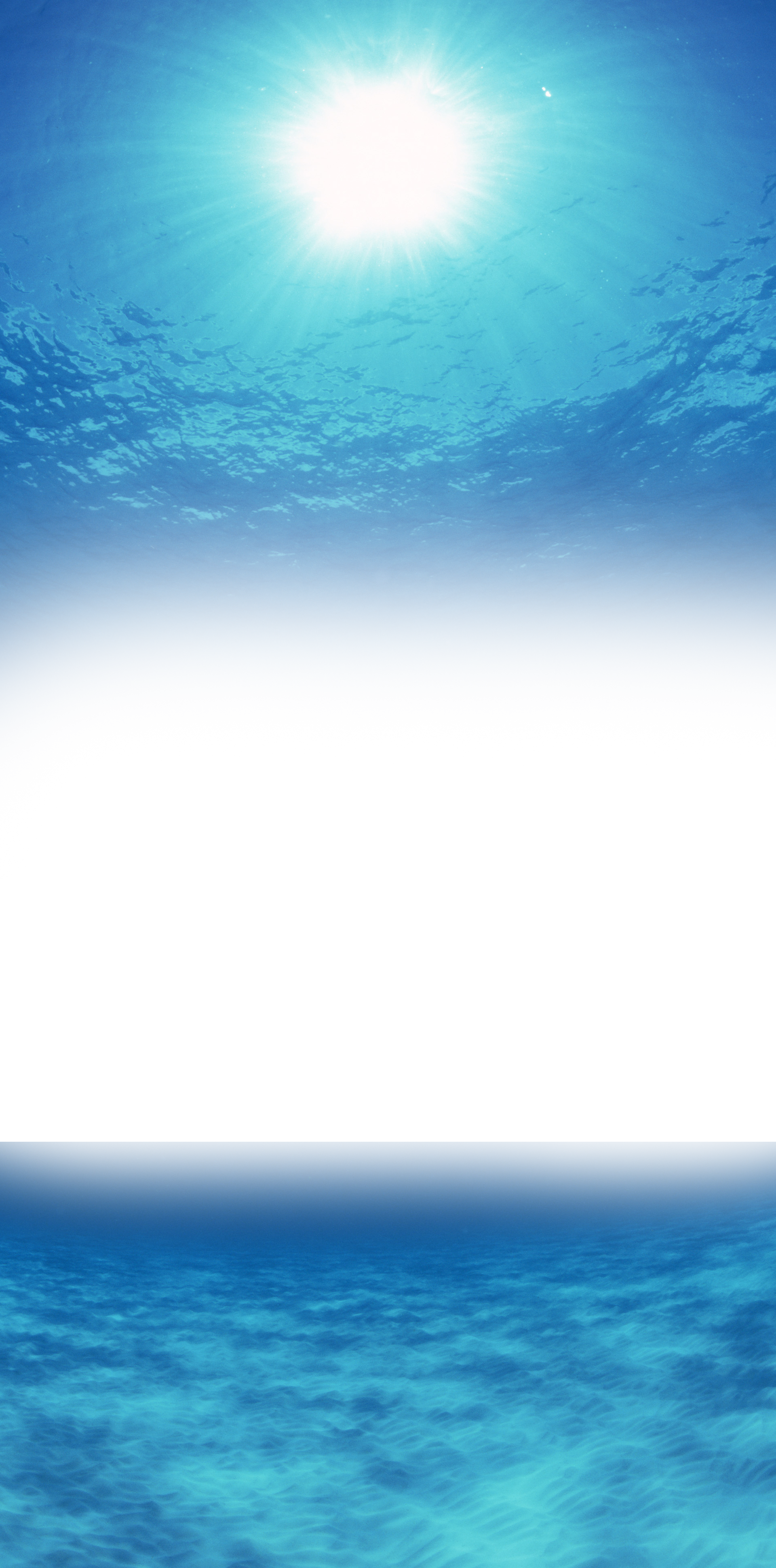 Light Sea Reflection Halo Free Transparent Image Hd - Halo (1920x3877), Png Download