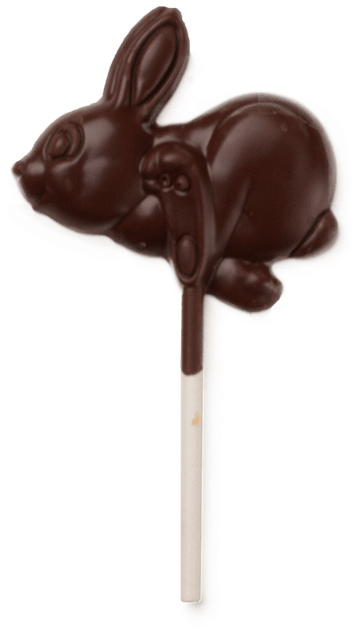Surely Any Self-respecting Chocolate Bunny Lover Will - Domestic Rabbit (800x800), Png Download