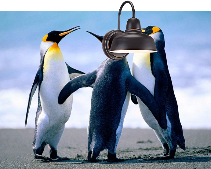 See How Lighting Looks In Your Room Before You Buy - Endothermic Vertebrates (690x690), Png Download