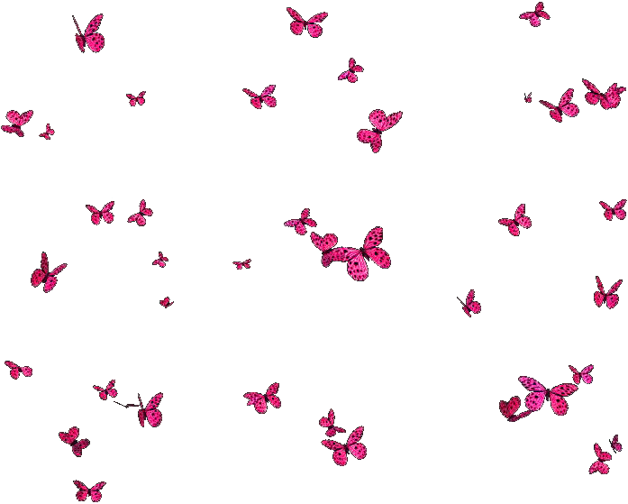 Postado Por Fotos Png Do Carrossel E Capas Às - Borboletas Png Fundo Transparente (774x582), Png Download