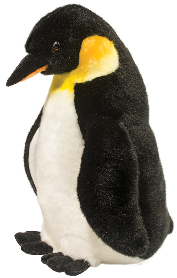 Weddell Penguin - Emperor Penguin (1000x1000), Png Download