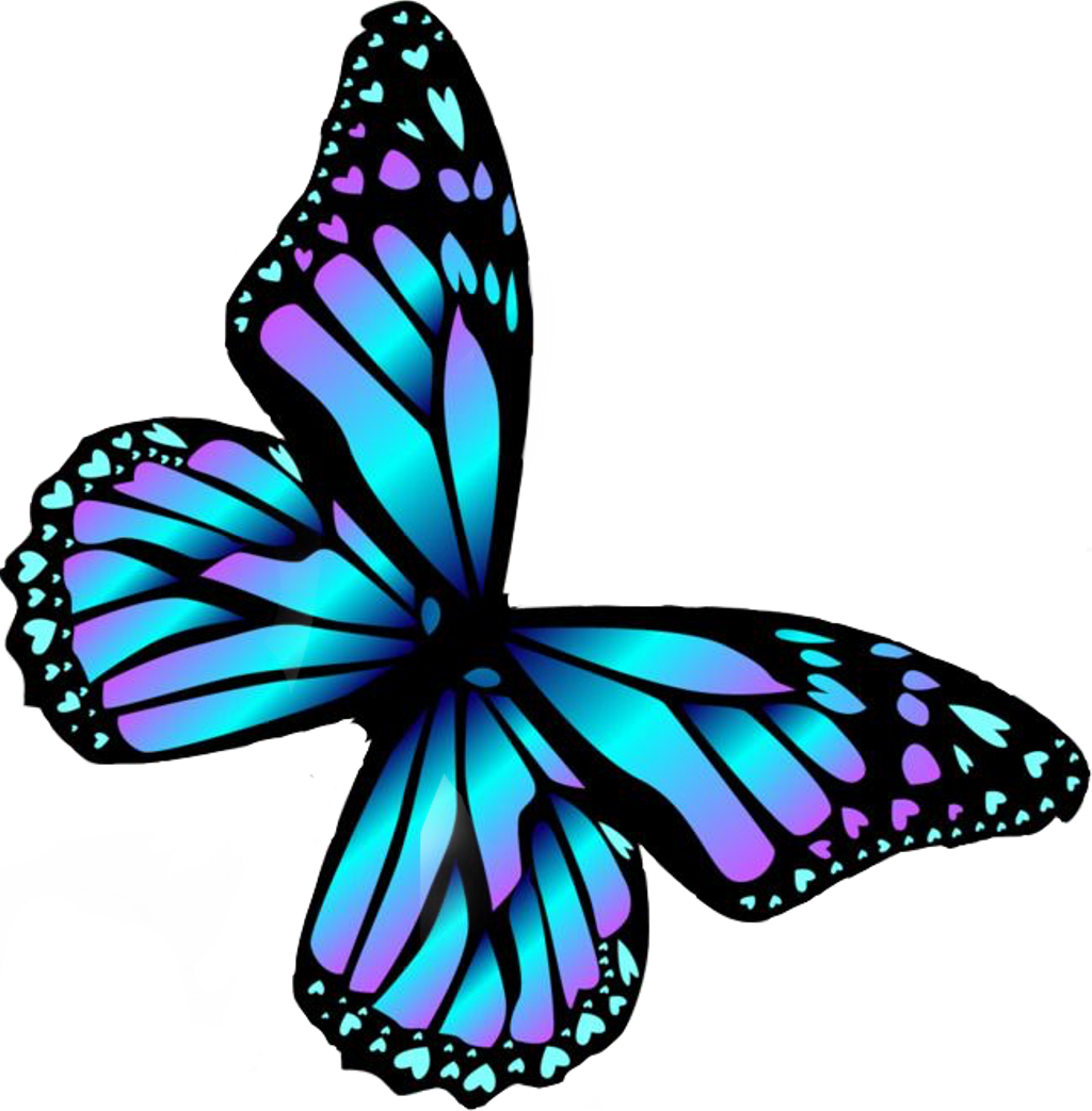 Borboleta Sticker - Transparent Butterfly Cartoon (1024x1043), Png Download