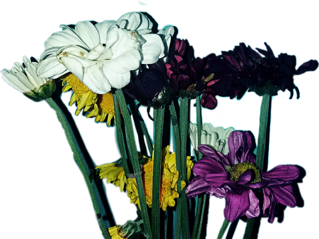Bunga Sticker - Bouquet (1024x769), Png Download