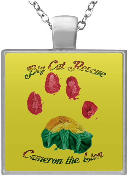 Cameron Lion Paw Print Un4684 Square Necklace - Necklace (600x600), Png Download