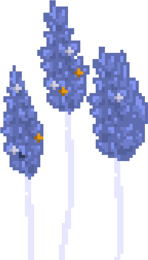 Lavender - Illustration (730x890), Png Download