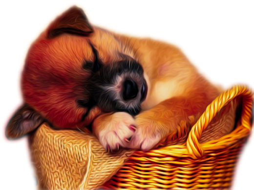 Animals Clipart Png,cartoon Animals Png,cute Animal - Cute Png Cartoon Animals (798x501), Png Download