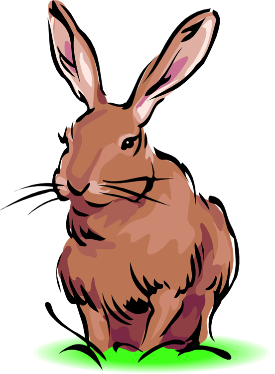 Cute Clipart Wild Animal - Definition Of Hare (552x750), Png Download