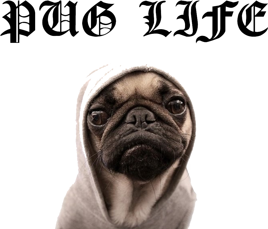 Pug Life Png File - Pug Life (1200x1024), Png Download