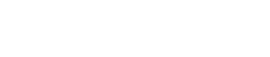 Reign Bough Fiddle - Fiddle (879x187), Png Download