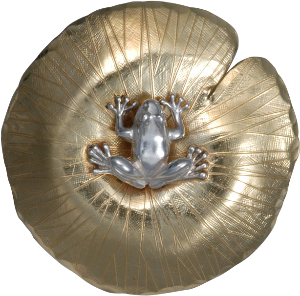 Frog On Lily Pad Pin/pendant (640x640), Png Download