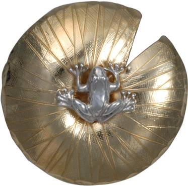 Frog On Lily Pad Pin/pendant (640x640), Png Download