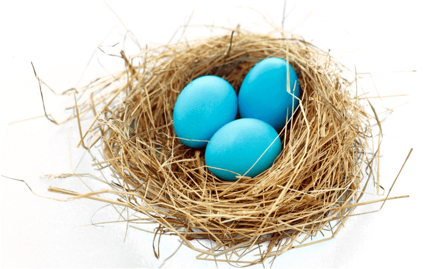 Free Png Nest Png Images Transparent - Bird Nest Png (851x545), Png Download