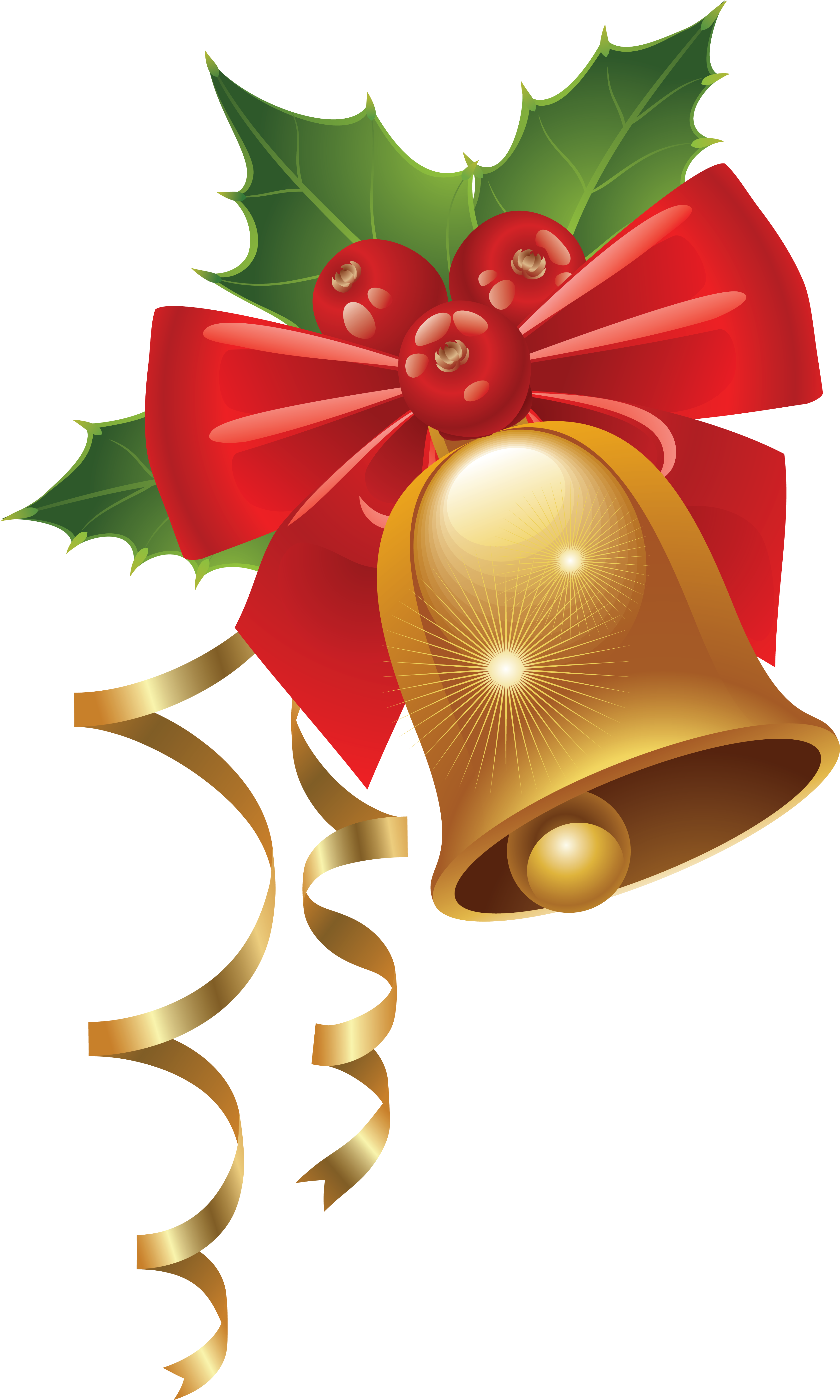 Mistletoe (3546x5831), Png Download