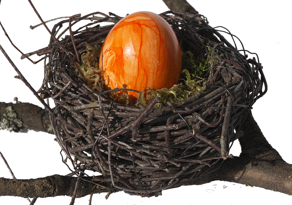 Bird's Nest, Nest, Easter Nest, Easter Decoration - Bird Nest (960x676), Png Download