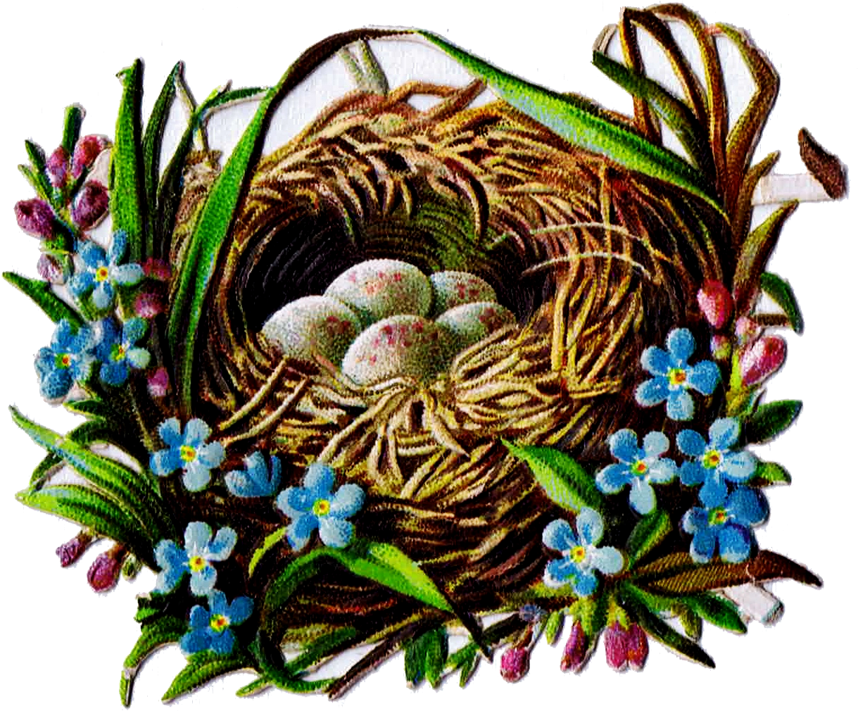Free Printable Bird Nest Clip Art Royalty Free Antique - Bird Nest (1246x1036), Png Download