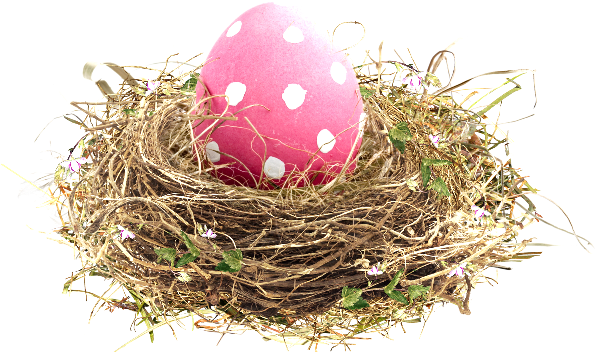 Easter Transprent Png Free Download Egg - Birds Nest (2028x1185), Png Download