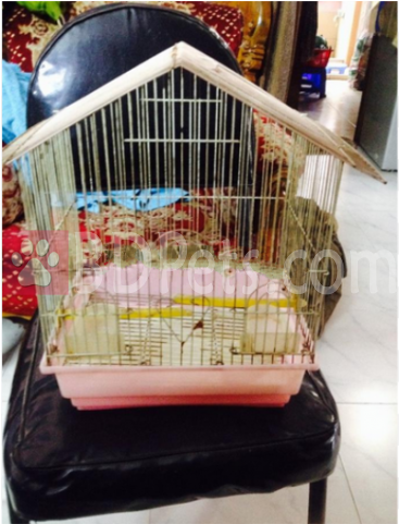 Bird Nest (640x480), Png Download