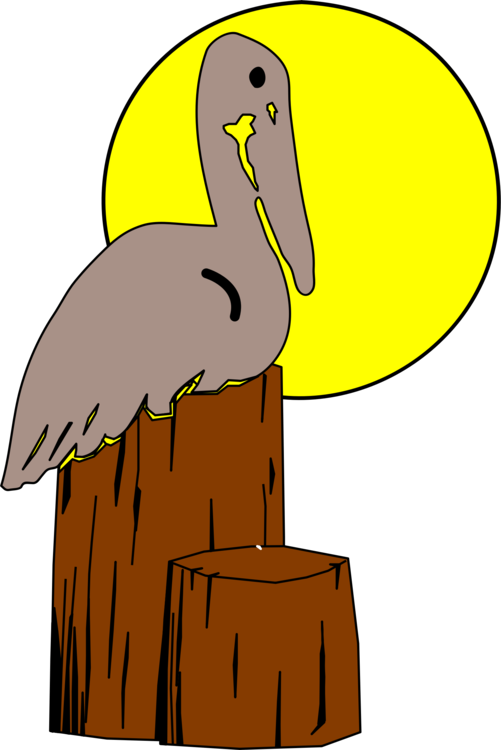 Bird Nest Brown Pelican Drawing Animal - Pelican On Post Clipart (501x750), Png Download