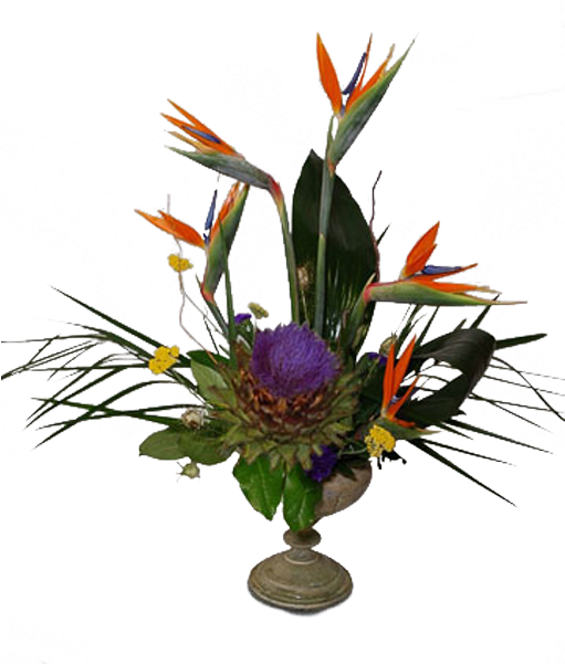 Artichoke Bird Nest - Flower (600x600), Png Download