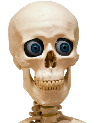 Drawn Blue Eyes Transparent - Skull (393x472), Png Download