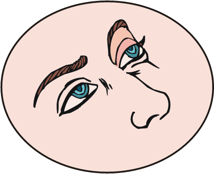 Eyes - Urse Medicina (432x352), Png Download