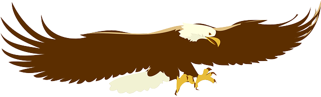 Animals, Cartoon, Eagle, Birds, Bird, Flying, Eagles - Soaring Eagle Clip Art (640x320), Png Download
