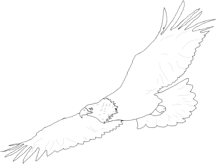 Drawn Eagle Easy Draw - Drawing (894x894), Png Download