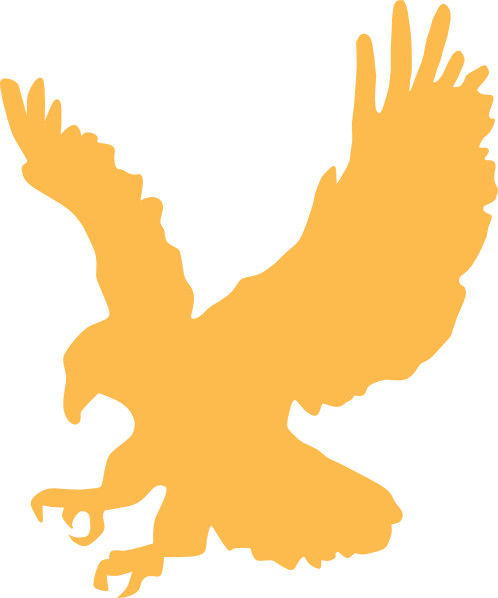 Cartoon Golden Eagle Flying Images Pictures - Eagle Clip Art (498x598), Png Download