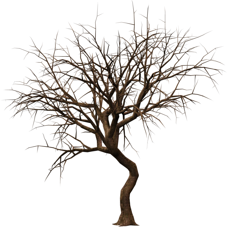 Trees Stock By Roy - Winter Tree Clip Art (1024x768), Png Download