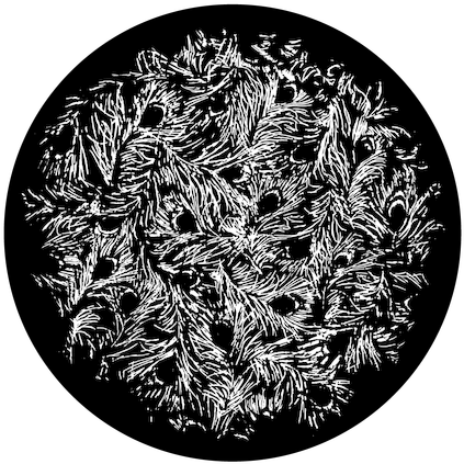 Apollo Design Sr-6180 Feather Lace B&w Superresolution - Lace (500x500), Png Download