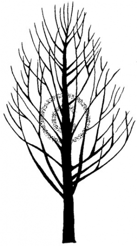 Silhouette (500x500), Png Download