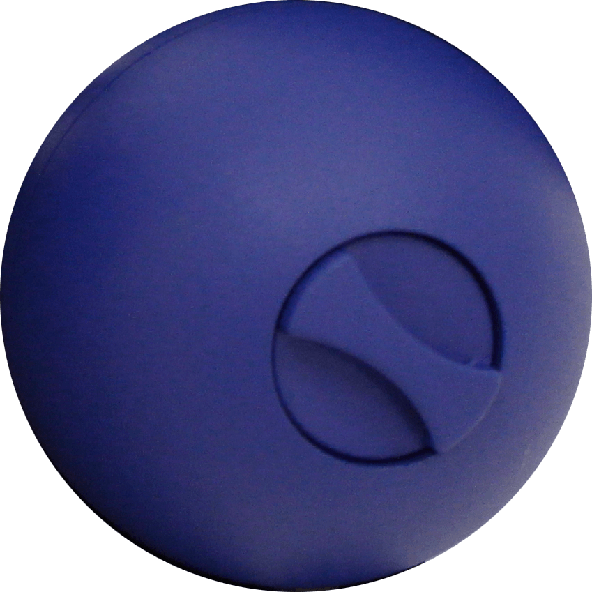 F - I - T - Ball - Therapy (849x849), Png Download