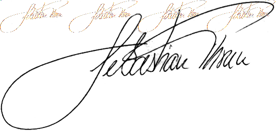 Sebastian Thrun Signature - Sebastian Thrun (540x259), Png Download
