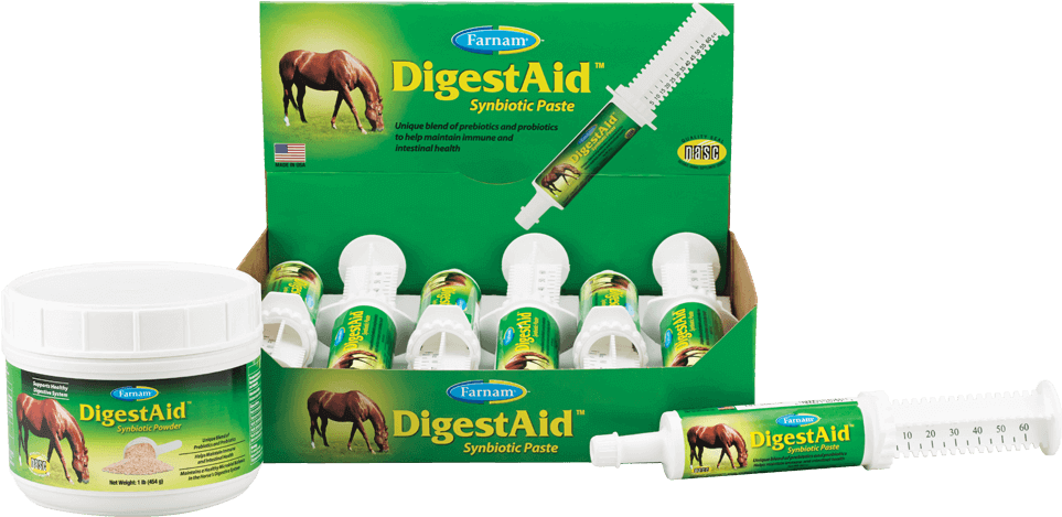 When Everything Is Working As It Should, Your Horse's - Animal (1200x1017), Png Download