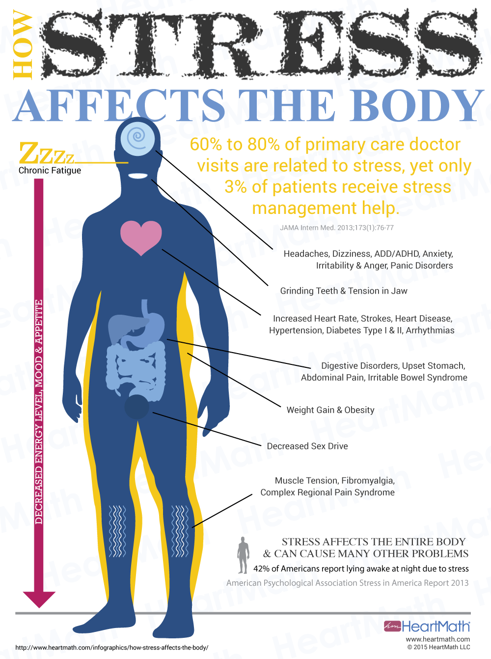 The American Medical Association States That Stress - Stress Affects The Body (1000x1340), Png Download