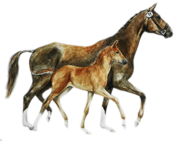 Watercolor On Special Paper A3 - Watercolor Painting (640x480), Png Download