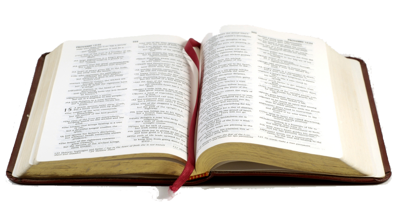 Lire La Bible - Open Bible Books (800x423), Png Download
